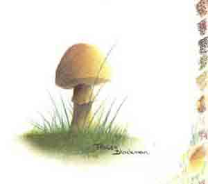  mushroom painting using coloured pencils