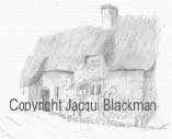 quick pencil sketch of a thatched cottage