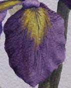 watercolour iris petal painting