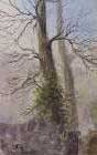 tree ivy